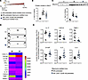 A single subcutaneous injection of long-acting MS conjugated MS~[Gln6,14]CN