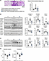 A single s.c. injection of long-acting MS-conjugated MS~[Gln6,14]CNP-38 pre