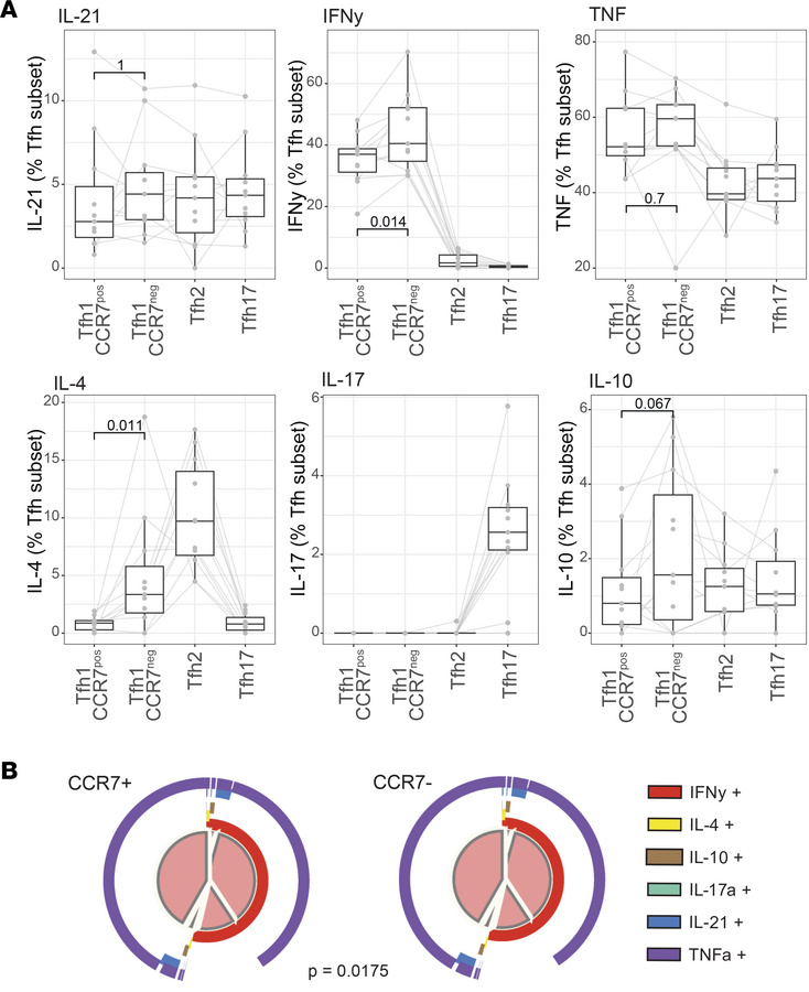 Functional diversity within pTfh cell subsets based on CCR7 expression.
...
