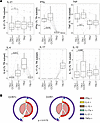Functional diversity within pTfh cell subsets based on CCR7 expression.