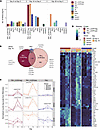 Transcriptional activation of Tfh cell subsets during CHMI.