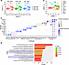 Transcriptomic profiling linking cytoskeletal regulation to skeletal cell a