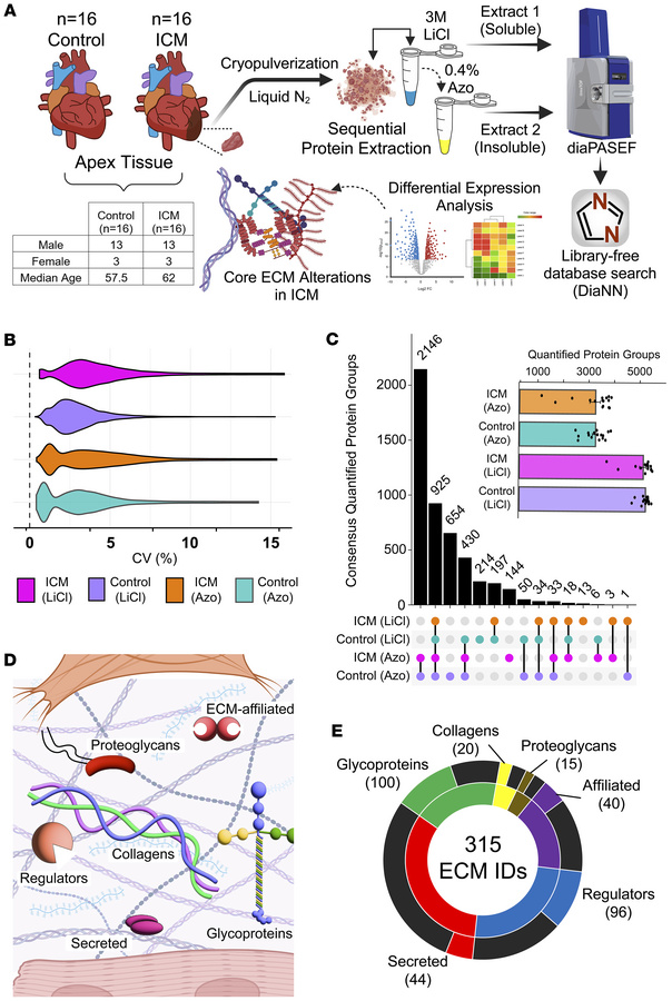 Azo-enabled ECM proteomics method yields reproducible coverage of the ma...