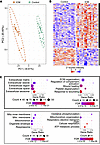 Global proteomics results from ECM-enriched extract reveals alterations in