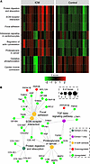 Pathway analysis implicates the TGFB signaling network in altered ECM compo