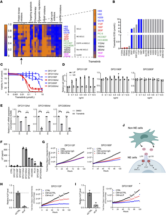 The non-NE tSCLC cells (DFCI112Ad, DFCI190Ad, and DFCI283Ad) are vulnera...