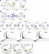 Intratumoral heterogeneity in pleural effusions of patients with EGFR-mt tS