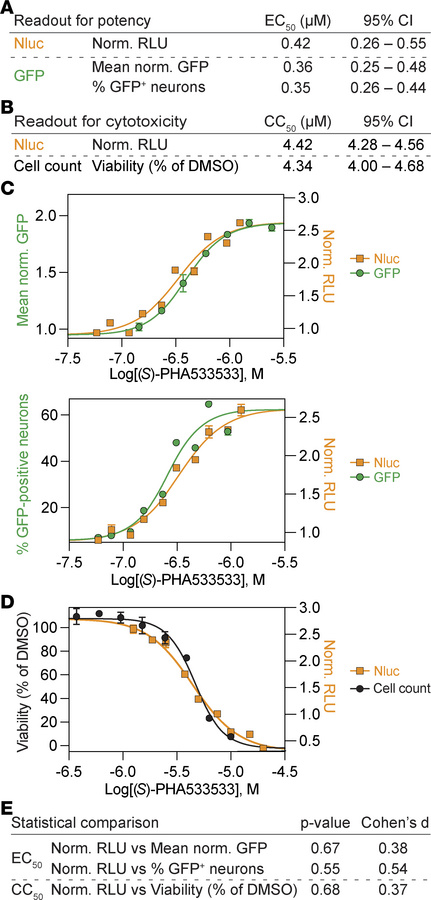GFP and Nluc reporters provide concordant pharmacological readouts for m...
