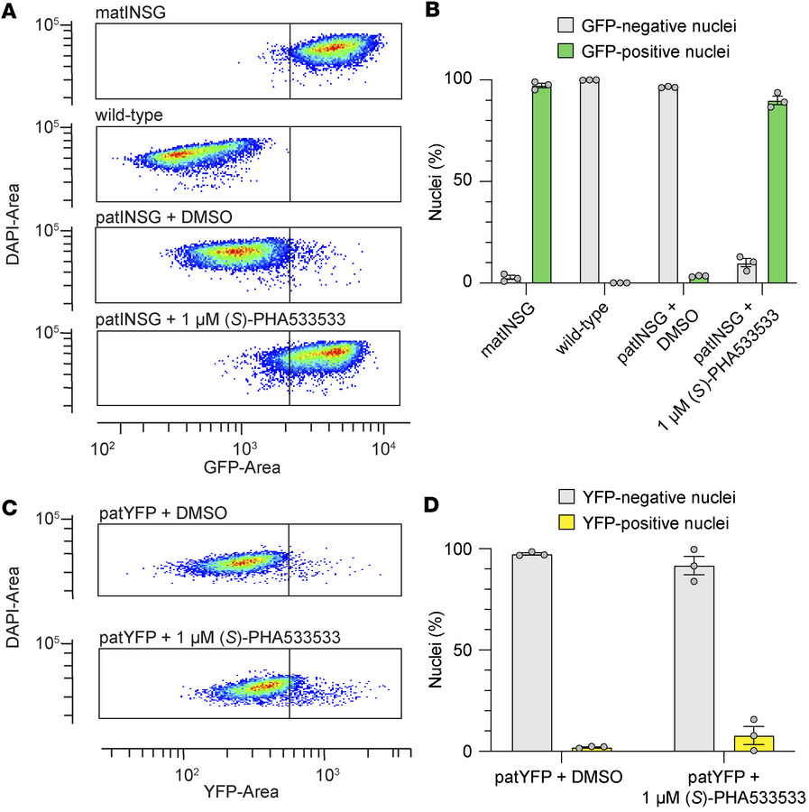 Sun1-GFP reporter enables flow cytometry for detecting paternal Ube3a un...