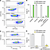 Sun1-GFP reporter enables flow cytometry for detecting paternal Ube3a unsil