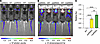 INSG mice enable in vivo quantification of UBE3A levels by bioluminescence