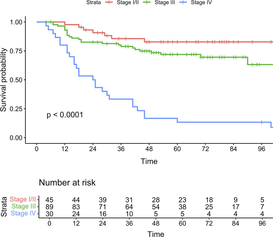 Kaplan-Meier curves for MCC-specific survival by stage according to AJCC...