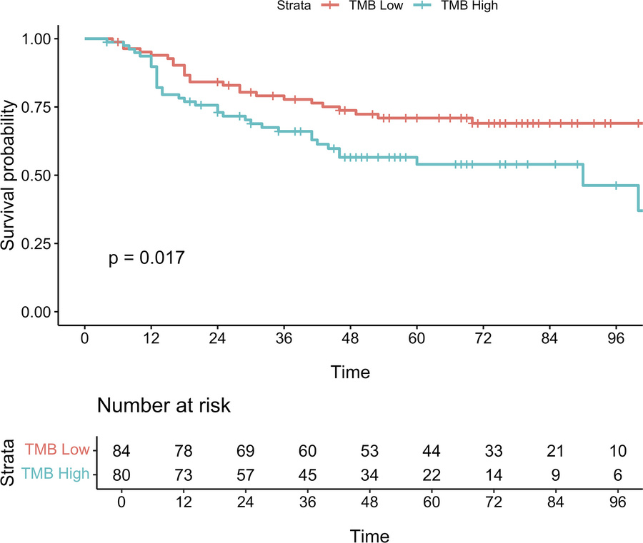 Kaplan-Meier curves for MCC-specific survival by tumor mutational burden...
