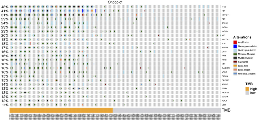 Oncoplot.
Columns represent the patient’s samples, and the rows represen...