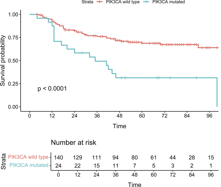 Kaplan-Meier curves for MCC-specific survival in the full cohort.
Log-ra...