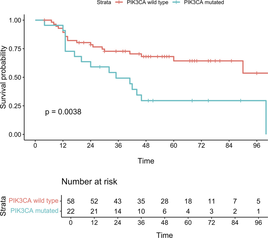 Kaplan-Meier curves for MCC-specific survival in the high TMB cohort (TM...