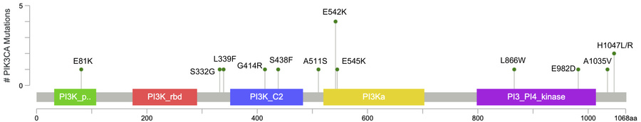 Lollipop plot showing the PIK3CA gene structure and illustrating missens...