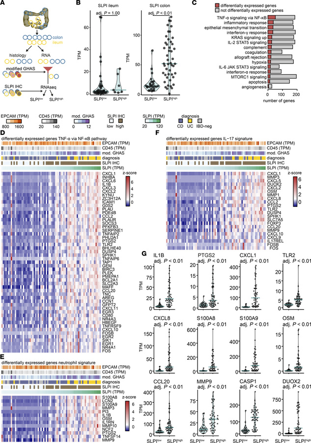RNA sequencing reveals enrichment of immune activation and neutrophil an...