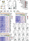 RNA sequencing reveals enrichment of immune activation and neutrophil and T