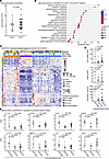 Circulating neutrophils from SLPIhigh and SLPIlow patients have intrinsical