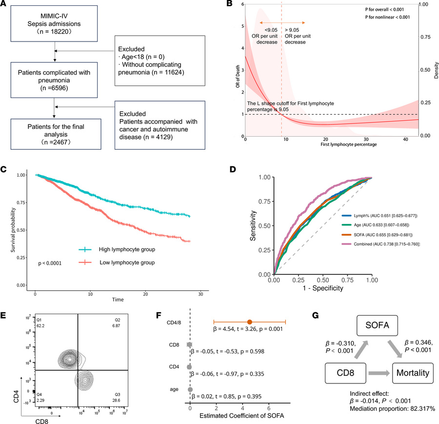 Associations between lymphocyte counts and the CD4/CD8 ratio and prognos...