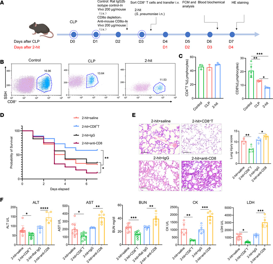 Adoptive transfer of CD8+ T cells reduces the sepsis mortality rate by p...