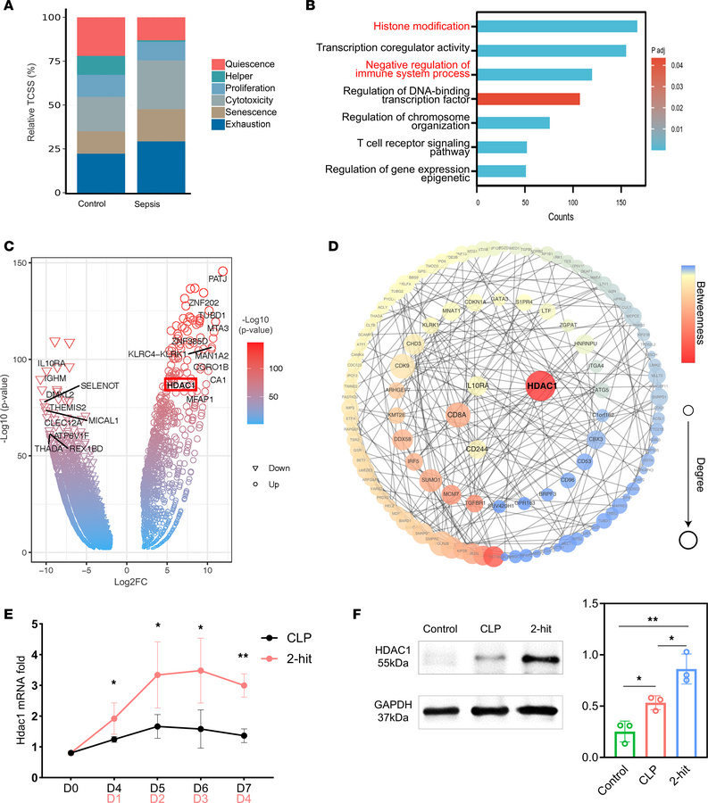 The expression of HDAC1 in CD8+ T cells from patients with sepsis-induce...