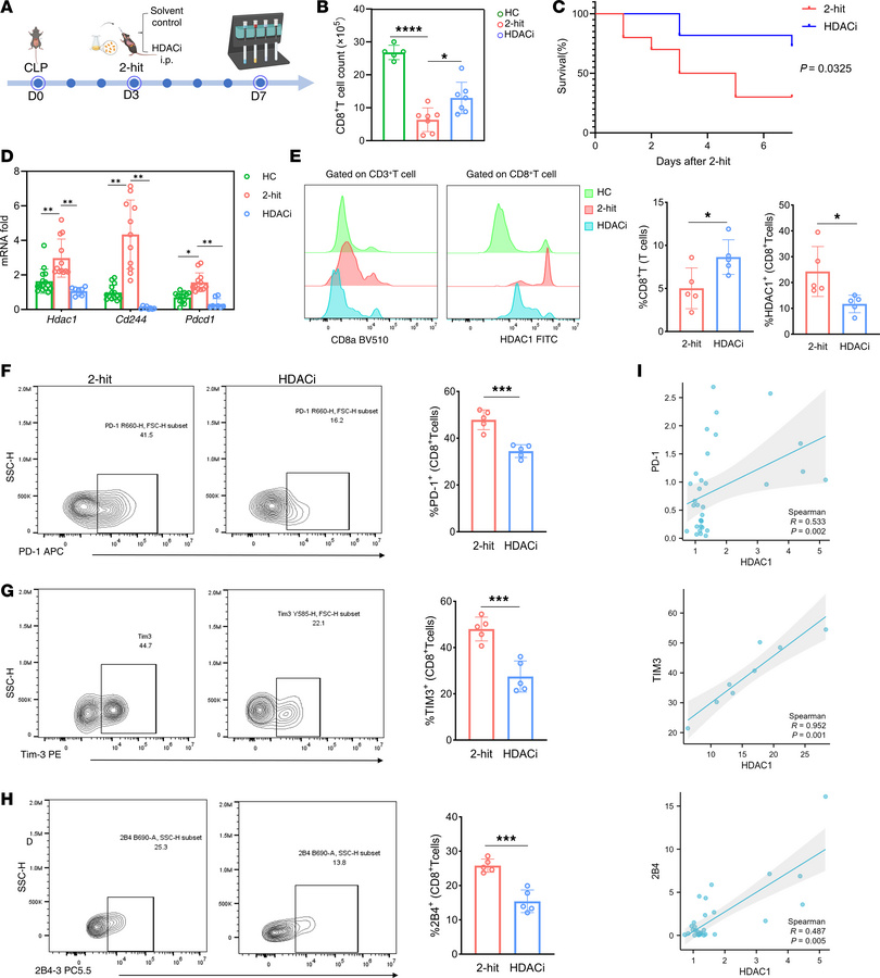HDAC1 inhibition alleviates CD8+ T cell exhaustion and increases the sur...