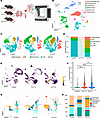 Single-cell atlas of pulmonary immune cells during sepsis progression.
