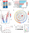 The expression of HDAC1 in CD8+ T cells from patients with sepsis-induced i