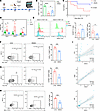 HDAC1 inhibition alleviates CD8+ T cell exhaustion and increases the surviv