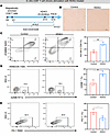 HDAC inhibitors maintain the activity of CD8+ T cells.