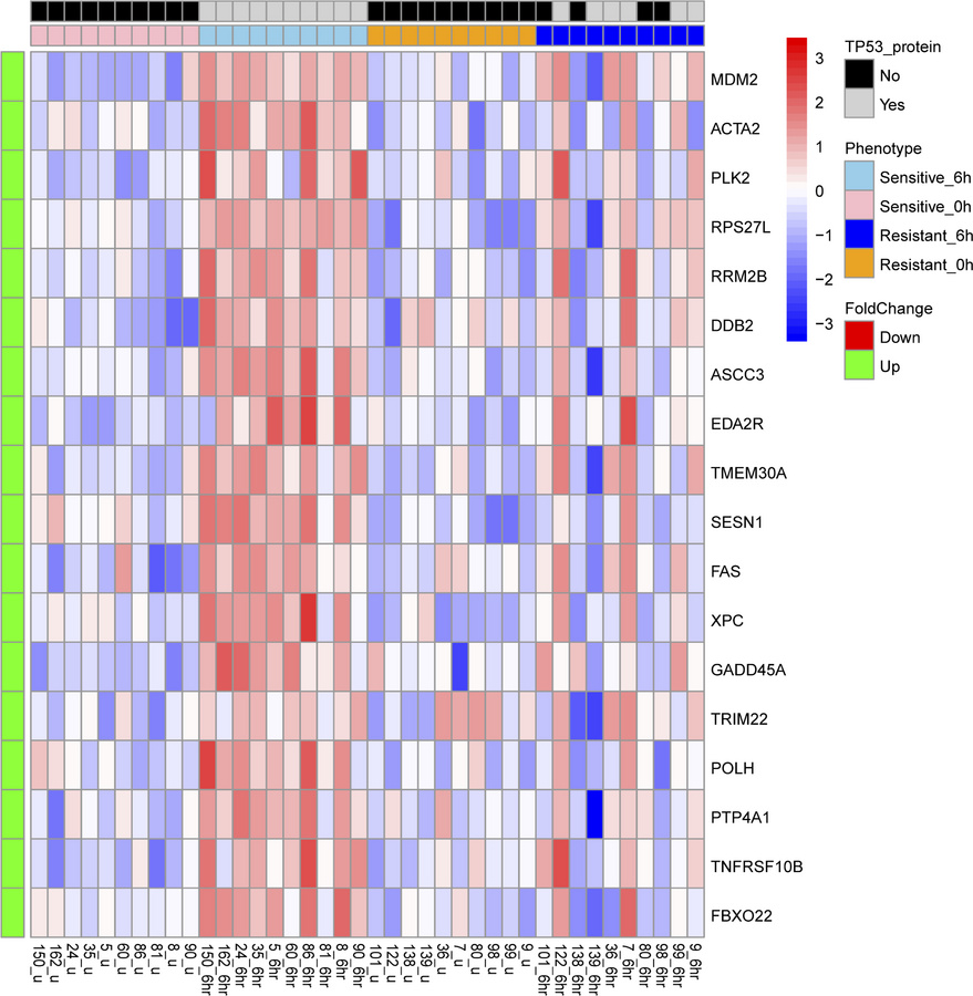 Gene expression changes after 6 hours of MDM2 inhibitor treatment in pri...