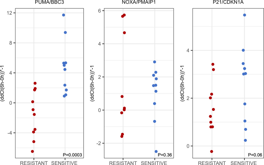 Gene expression of PUMA/BBC3, NOXA/PMAIP1, and p21/CDKN1A in primary hum...