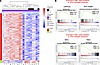 Substantial gene expression differences at baseline in primary human AML wi