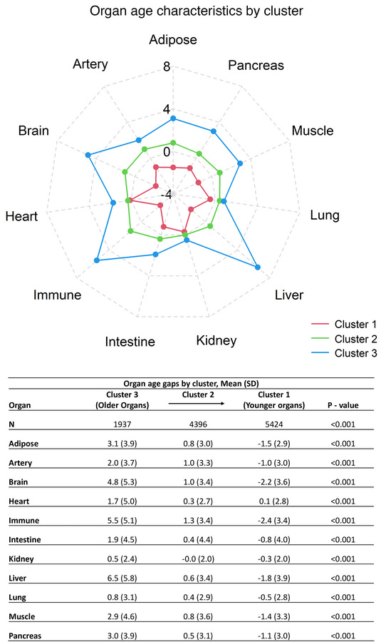 Estimated organ age gaps.
Spider plot of patient clusters formed through...