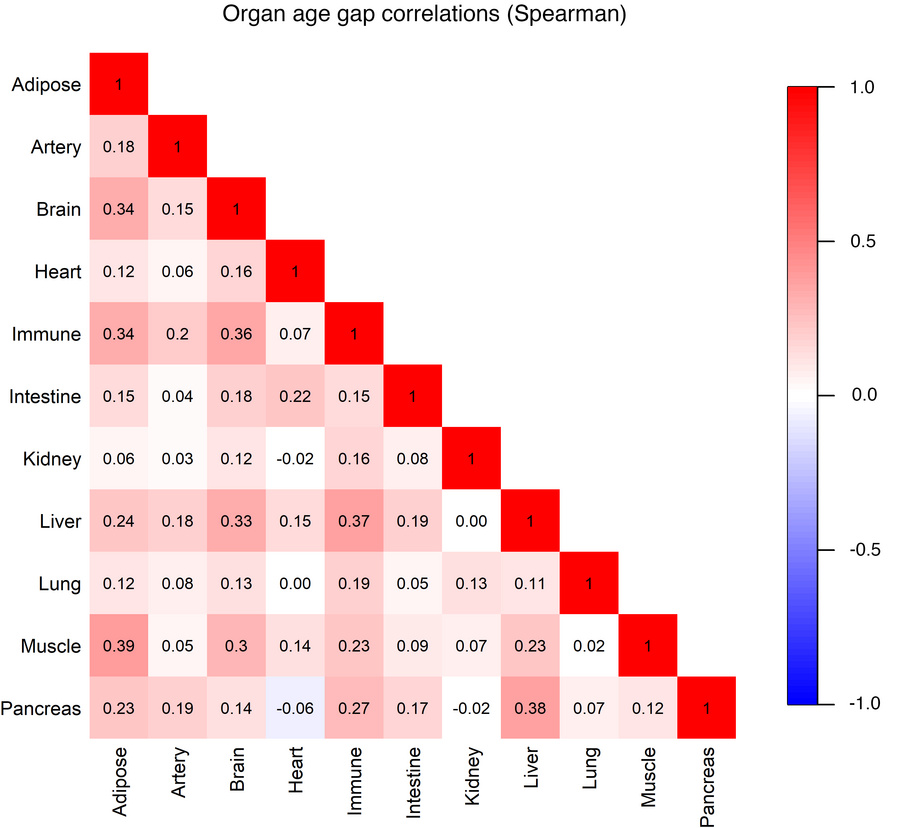 Inter-organ age gap.
Estimated organ age less chronological age, using S...