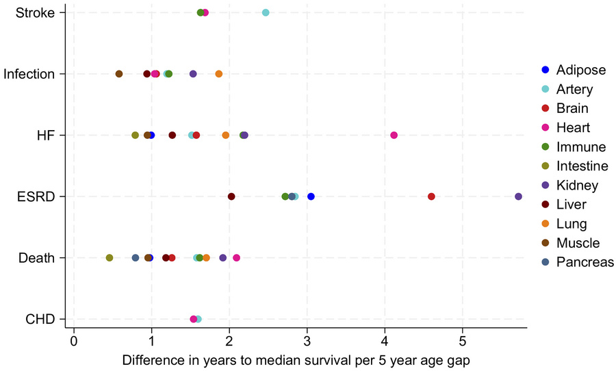 Difference in event-free survival time for older estimated organ gaps, p...