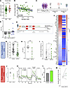 Effects of JAK1/2i on secretion of human β cell function.