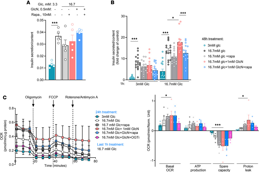 Glucosamine regulation of mTORC1, insulin secretion, and mitochondrial a...