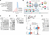 Regulation of β cell mTORC1 by glucosamine.