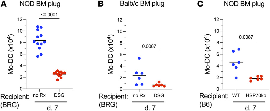 Blocking the HSP70 pathway reduces innate allorecognition.
Bone marrow p...