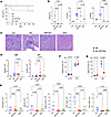 Interfering with the HSP70 pathway improves renal transplant outcomes.
