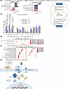RNA-seq of in vitro samples suggests involvement of growth factor signaling