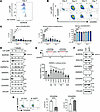 The effect of IKAROS on CD45RA, CD45RO, and HNRNPLL expression.