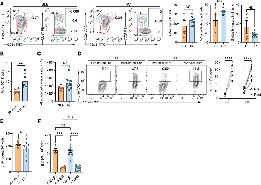 Induction of IL-10–producing B cells from patients with SLE and healthy ...