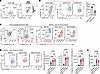 Phenotype of MS5-3F–induced IL-10–producing B cells.