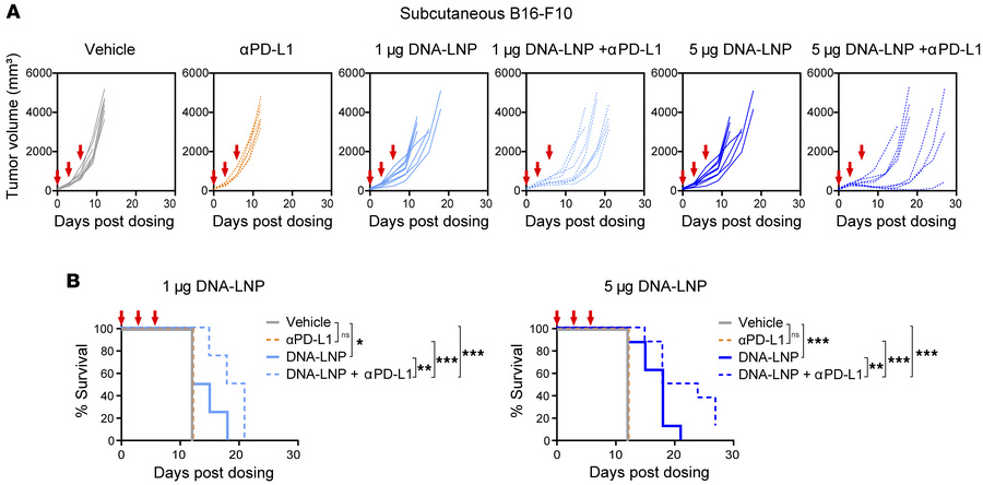 DNA-LNP and anti–PD-L1 show synergistic antitumor effects in anti–PD-L1-...