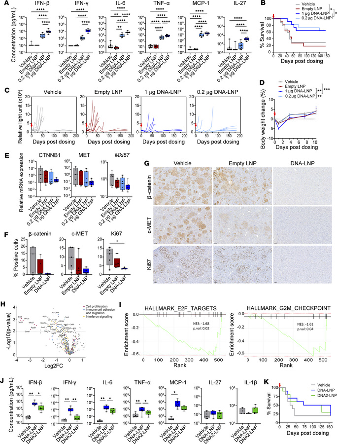 DNA delivered by LNP mediates the antitumor effect in HCC mouse model.
H...