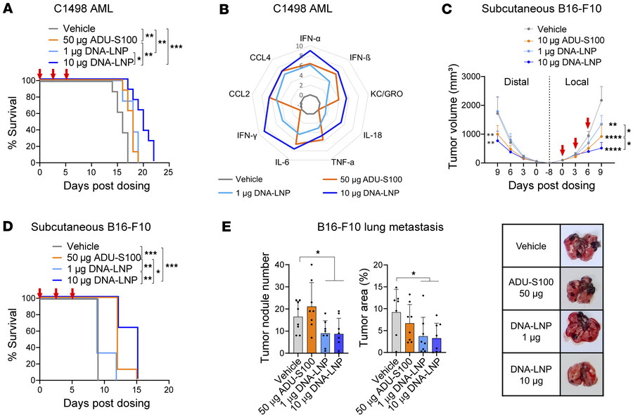 DNA-LNP induces an antitumor effect in nonhepatic tumor models.
(A and B...